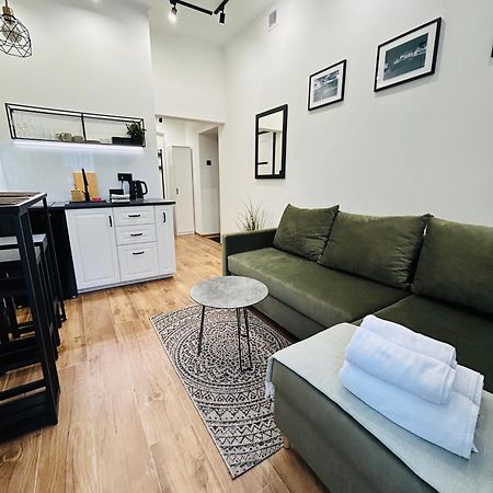 פז'מיסל Apartament Krasinskiego מראה חיצוני תמונה