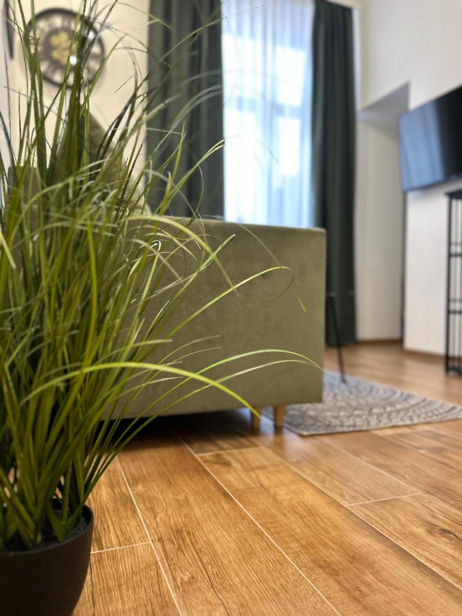פז'מיסל Apartament Krasinskiego מראה חיצוני תמונה