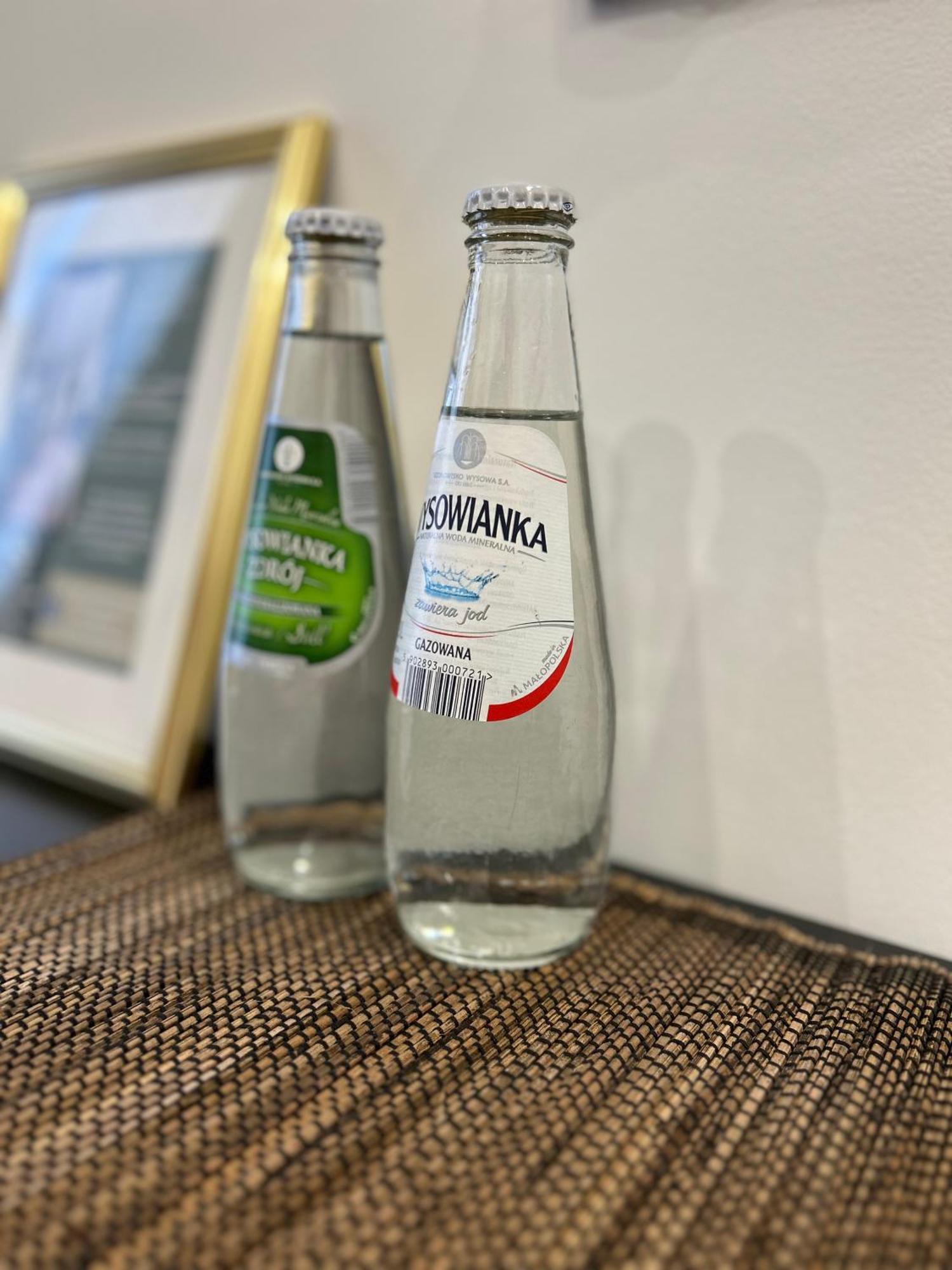 פז'מיסל Apartament Krasinskiego מראה חיצוני תמונה