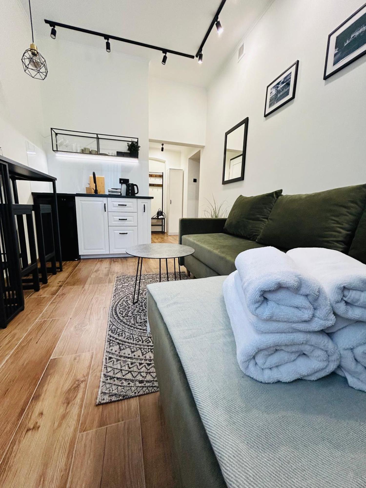 פז'מיסל Apartament Krasinskiego מראה חיצוני תמונה