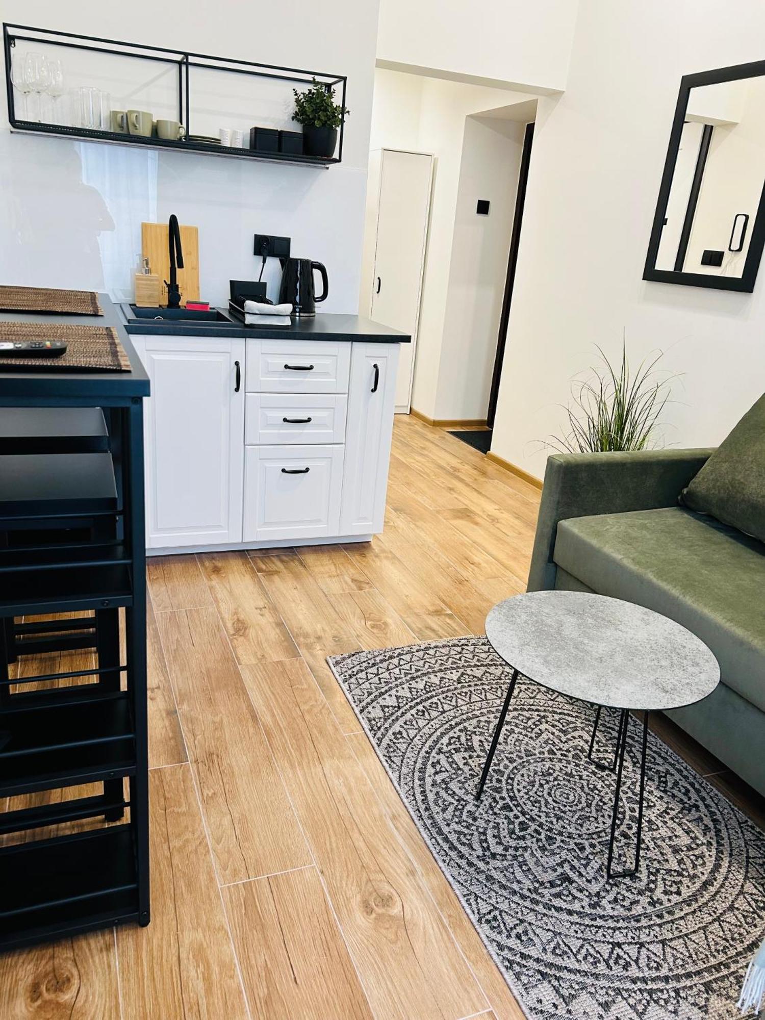 פז'מיסל Apartament Krasinskiego מראה חיצוני תמונה